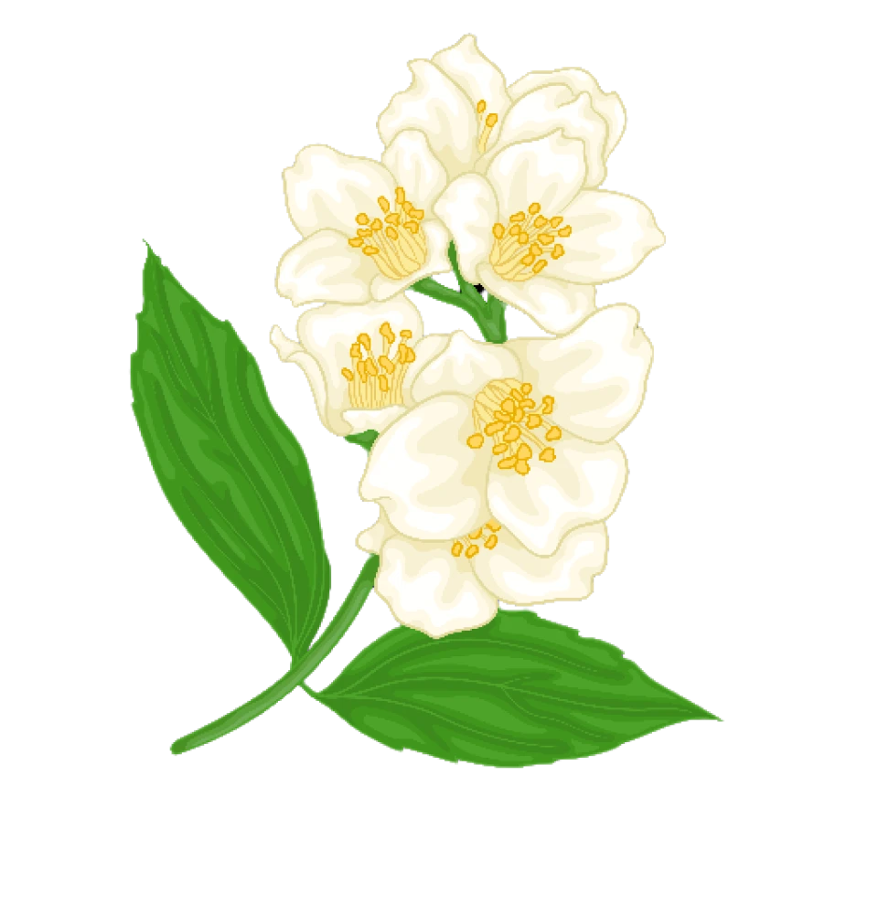 Flower Left